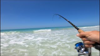 SURF FISHING BEAUTIFUL ANNA MARIA ISLAND [upl. by Arahset24]