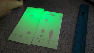 TLC in Organic LabPractical demonstration [upl. by Ettenor954]