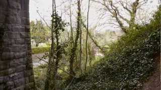 Brides Glen Viaduct  Abandoned Railway Bridge Dublin Ireland [upl. by Nairehs]