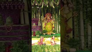 Kanka Durga ammavari Sakambri Utsavalu vijayawada devi viewsviralsubscribergrow [upl. by Asher]