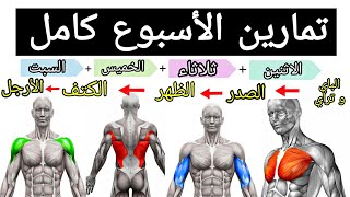 خطة تدريبية لمدة اسبوع كامل لبناء العضلات  تمارين كمال الأجسام [upl. by Darrow]