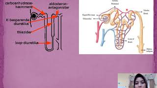 Diuretik  Farmakologi 1 [upl. by Nnaillek]