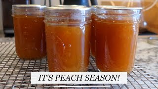 PEACH JAM RECIPE no pectin easy homemade jam [upl. by Adnik]