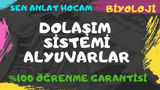 DOLAŞIM SİSTEMİ KONU ANLATIMI 10  KANIN YAPIS I ALYUVARLAR  AYT BİYOLOJİ  ✅ [upl. by Ario]