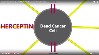 Estrogen Receptors amp HER2neu Receptors in Breast Cancer a TUTORIAL from Oster Oncology [upl. by Wichern830]