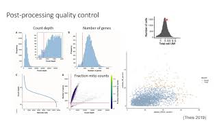 W20 SingleCell RNASeq Analysis with Python  Day 1 [upl. by Ailemak]