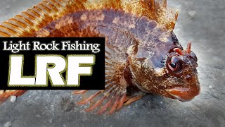 Light Rock Fishing LRF Techniques for Beginners [upl. by Jocelyn]