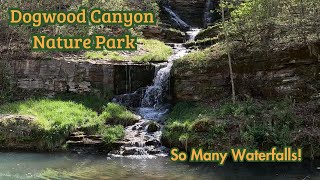 Tour of Dogwood Canyon Nature Park [upl. by Ahsenit165]