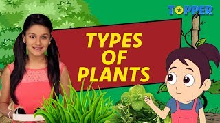 All about Plants  Types and Uses of Plants  Class 1 to 5 Science [upl. by Nnylarat745]