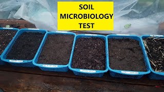 Soil Microbiology Test [upl. by Fruin]