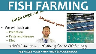 Food Production  Fish Farming  GCSE Biology 91 [upl. by Kesia872]