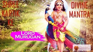 Shree Kartik Swami Aarti  Vallinadhai Dhimahi  Very Beautiful Devotional Aarti [upl. by Cirtap]