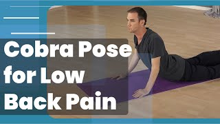 Cobra Pose For Beginners  Effective stretch for low back pain amp herniated discs [upl. by Neroled819]