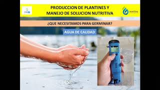 Producción Plantines y Solución Nutritiva  Hidroponía Parte 1 [upl. by Ahtelrac481]