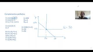 Teoría del Consumidor Resolución de sustitutos perfectos y complementos perfectos [upl. by Sadick]