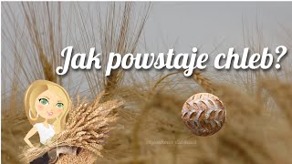 Jak powstaje chleb  prezentacja [upl. by Aymer432]