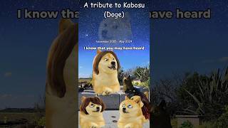 A tribute to Kabosu Doge [upl. by Margy66]