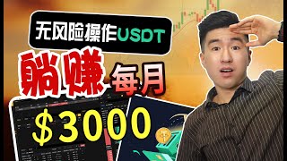 【爆賺祕密】每月躺賺3000美金，零風險操作USDT套利！使用穩定幣USDTUSDCBUSD對敲，低門檻賺錢致富！secret of earning 3000month lying down [upl. by Melnick]