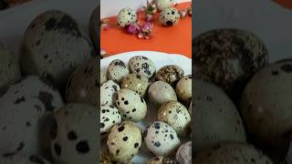 Quail Egg Boiling Made Simple Easy Tips for Perfect Peeling [upl. by Robenia]