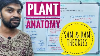 Plant Anatomy  Root and Shoot apical meristem theories  RAM and SAM Theories [upl. by Gerladina]