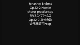 Johannes Brahms Op822 Naenie chorus practice sop [upl. by Schilling]