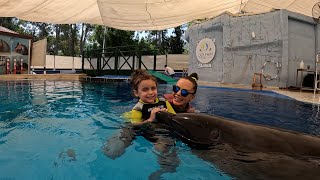 Delfintherapie Kemer  Sofia [upl. by Arny]