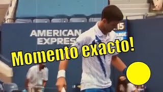 Novak Djokovic descalificado por pelotazo a jueza de linea  Diferentes Cámaras [upl. by Westleigh362]