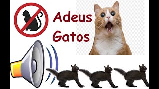 Som para espantar gato do telhado [upl. by Revert]