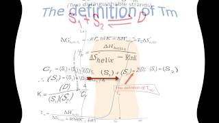 Nearest Neighbor Method [upl. by Ahsienot]