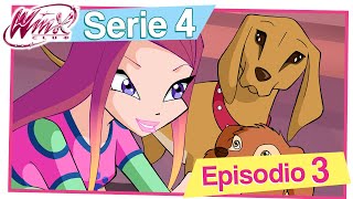 Winx Club  Serie 4 Episodio 3  Lultima Fata della Terra EPISODIO COMPLETO [upl. by Ayila]