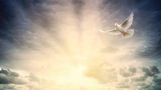 White Dove  Non Copyrighted Video  Animation Background loop overlays  Worship Video Holy Spirit [upl. by Lipson]