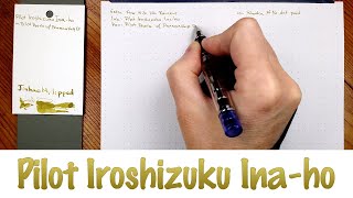 Pilot Iroshizuku Inaho [upl. by Ellicott442]