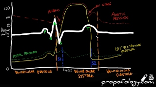 Cardiac Cycle in 3 Minutes Physiology [upl. by Torhert]