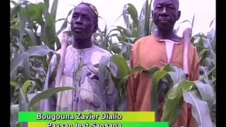 ONG AMEDD  Laménagement des champs pour une agriculture durable au Mali [upl. by Chamberlin]