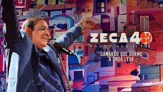 Zeca Pagodinho 40 anos Ao Vivo  quotCamarão que dorme a onda levaquot CLIPE OFICIAL [upl. by Selda539]