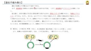 遺伝子組換え 【高校生物】 [upl. by Schulz]