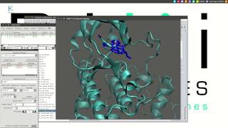 Tutorial MDBinding analysis [upl. by Eilrebma]