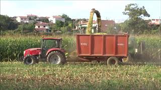 Silagem de Milho 2018  McCormick X435  Corn Silage Portugal [upl. by Maggee]