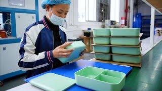 Wheat Straw Plastic Lunch Box Manufacturing Process Plastic Injection Molding Factory in China [upl. by Asilec361]