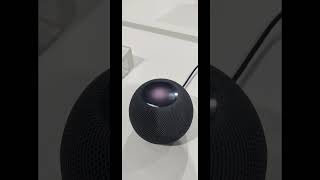 Apple Homepod mini Bluetooth speaker apllewatch tech 🔊 like [upl. by Flossi]