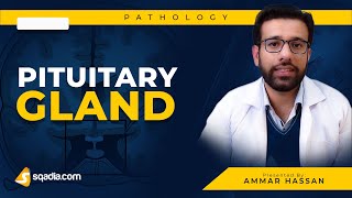 Pituitary Gland  1 Hypopituitarism  Medical Pathology  Video Lecture  VLearning [upl. by Glory]