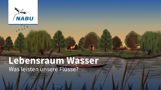 Wunderwerk Flüsse Das leisten unsere blauen Lebensadern [upl. by Wernher35]