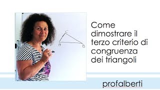 Terzo criterio di congruenza dei triangoli [upl. by Lucky]