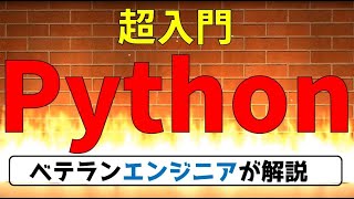 【高校情報１】プログラミング Python入門 出典：文部科学省 情報Ⅰ教員研修用教材 [upl. by Other78]