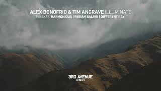 Alex Donofrio Tim Angrave  Illuminate Harmonious Remix 3rd Avenue [upl. by Kciredorb]