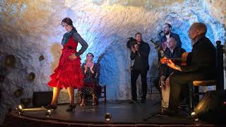 Flamenco Show in the Sacromonte Granada Part Two [upl. by Annovoj]