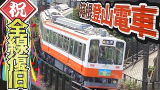 【日本一険しい80‰】箱根登山鉄道線を乗り通す 粘着鉄道最急勾配 小田原→箱根湯本→強羅 [upl. by Damales]