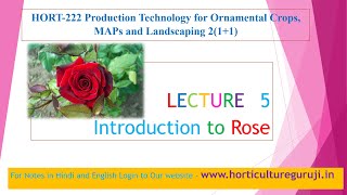 HORT222 Lecture 5 Introduction to Rose [upl. by Lochner]