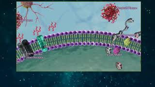 Amyloid Beta Processing [upl. by Asyal743]