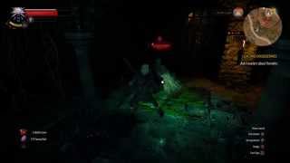 The Witcher 3  Level 7 Wraith Fight at Level 1 on Blood amp Broken Bones [upl. by Nohcim461]